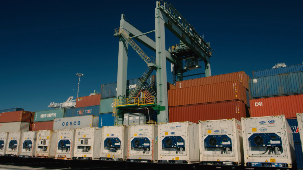 New Electric Container Cranes at The Port of Long Beach Long Beach