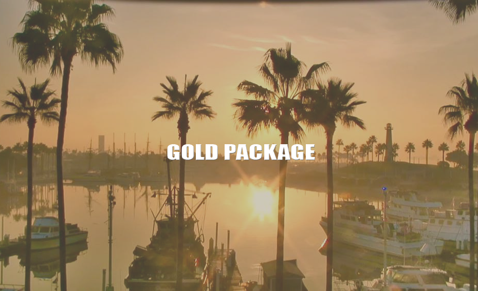 Gold Ad Package