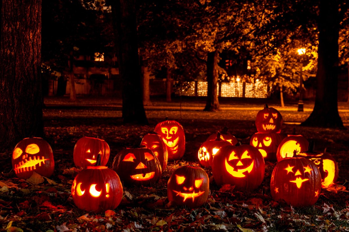 Celebrate Halloween in Long Beach - Long Beach Local News