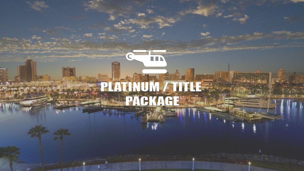 Platinum / Title